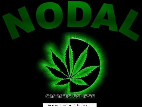 inceputul... - Nodal the mothe' fuck - Trupa Verba Atlas